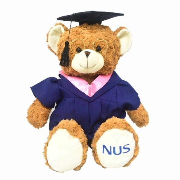 NUS Graduation Bear 2020: Bachelor of Arts